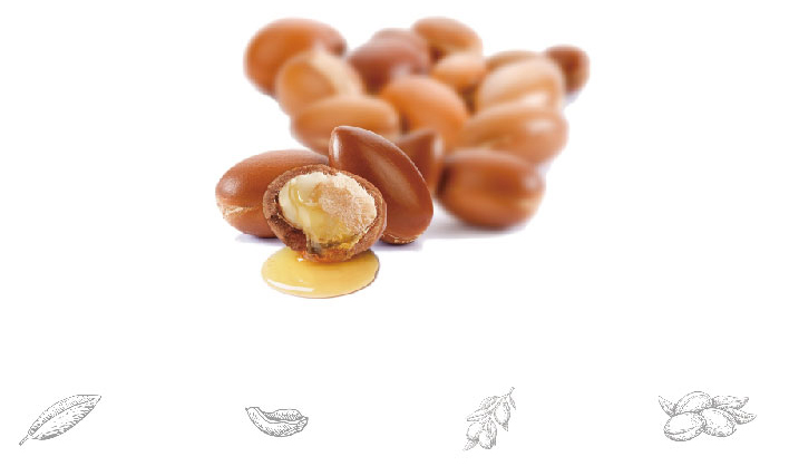 ARDER Premium 상세 3